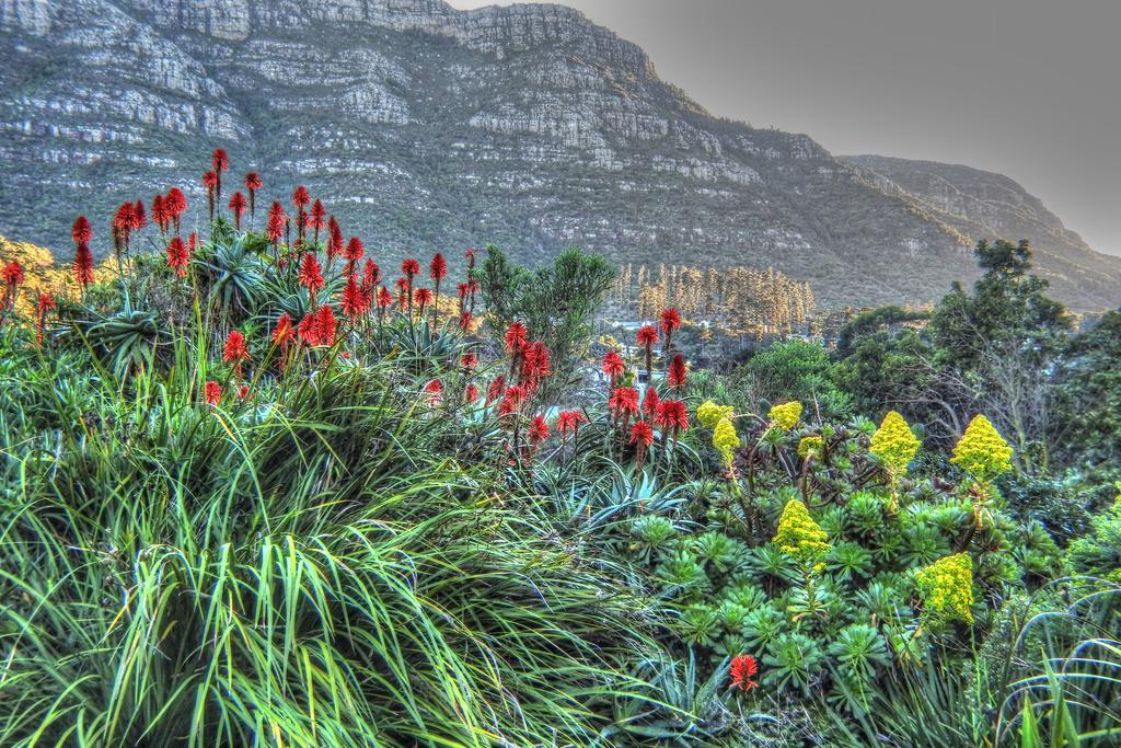 Kairos Lodge Hout Bay Exterior photo